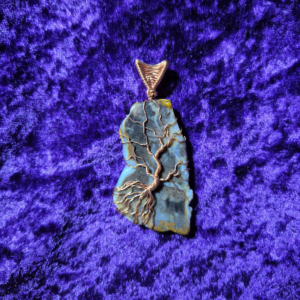 Petrified Wood Tree of Life