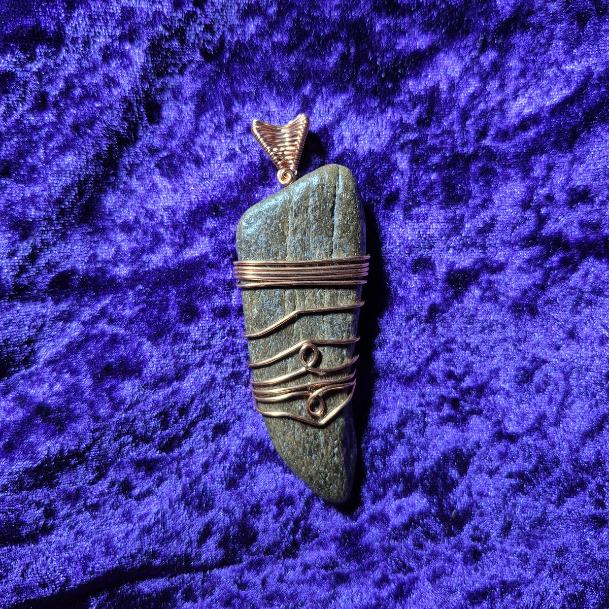 Dinosaur bone